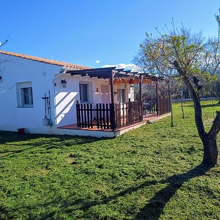 Casa De Campo Los Manueles Ideal Perros Pet Friendly Gojar Екстер'єр фото