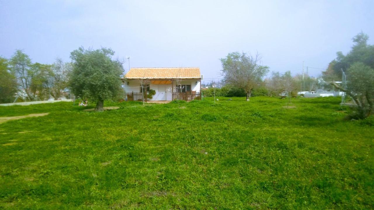 Casa De Campo Los Manueles Ideal Perros Pet Friendly Gojar Екстер'єр фото