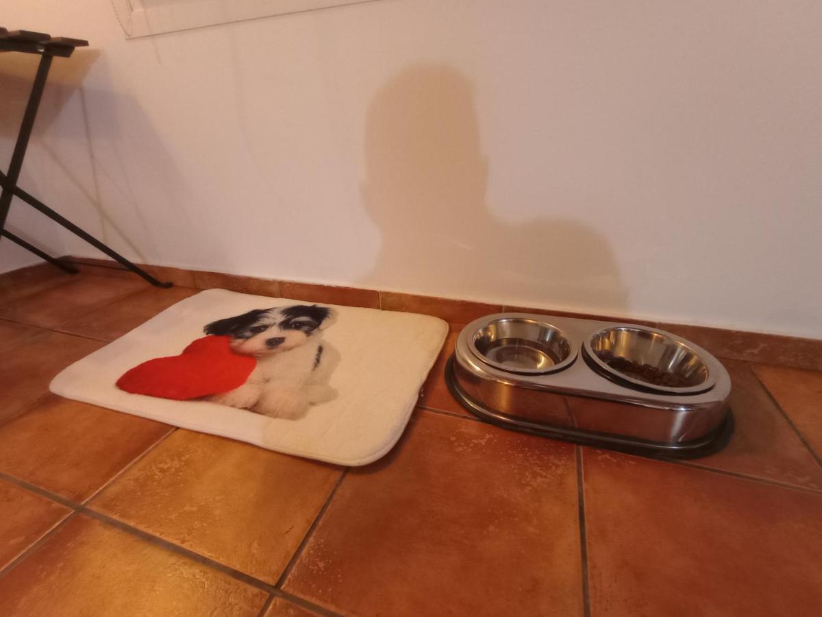 Casa De Campo Los Manueles Ideal Perros Pet Friendly Gojar Екстер'єр фото