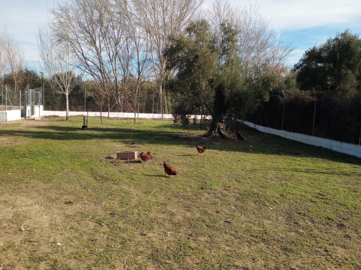 Casa De Campo Los Manueles Ideal Perros Pet Friendly Gojar Екстер'єр фото
