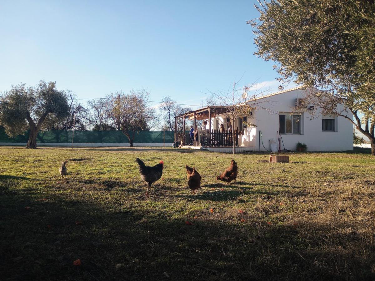 Casa De Campo Los Manueles Ideal Perros Pet Friendly Gojar Екстер'єр фото