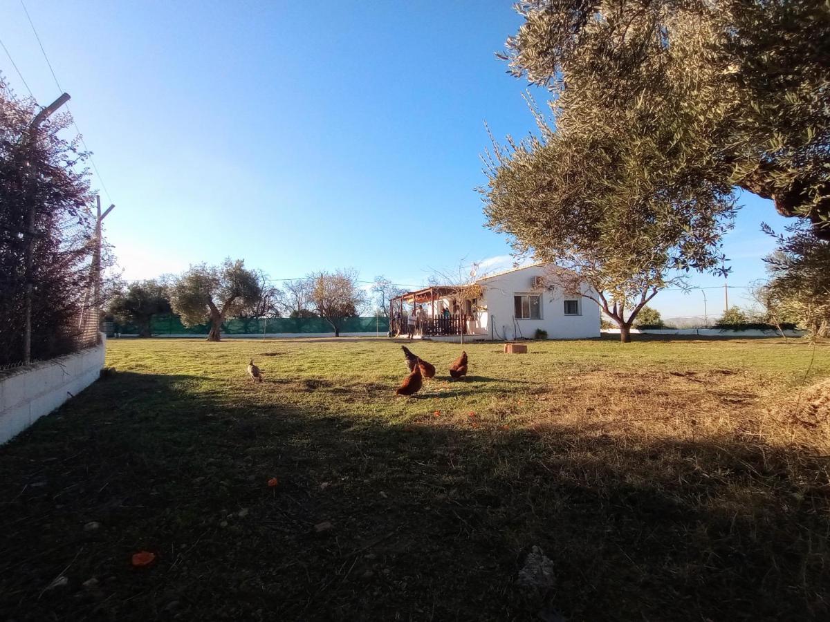 Casa De Campo Los Manueles Ideal Perros Pet Friendly Gojar Екстер'єр фото