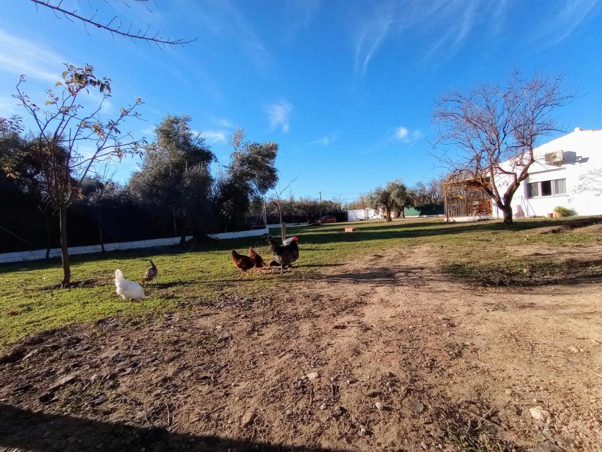 Casa De Campo Los Manueles Ideal Perros Pet Friendly Gojar Екстер'єр фото