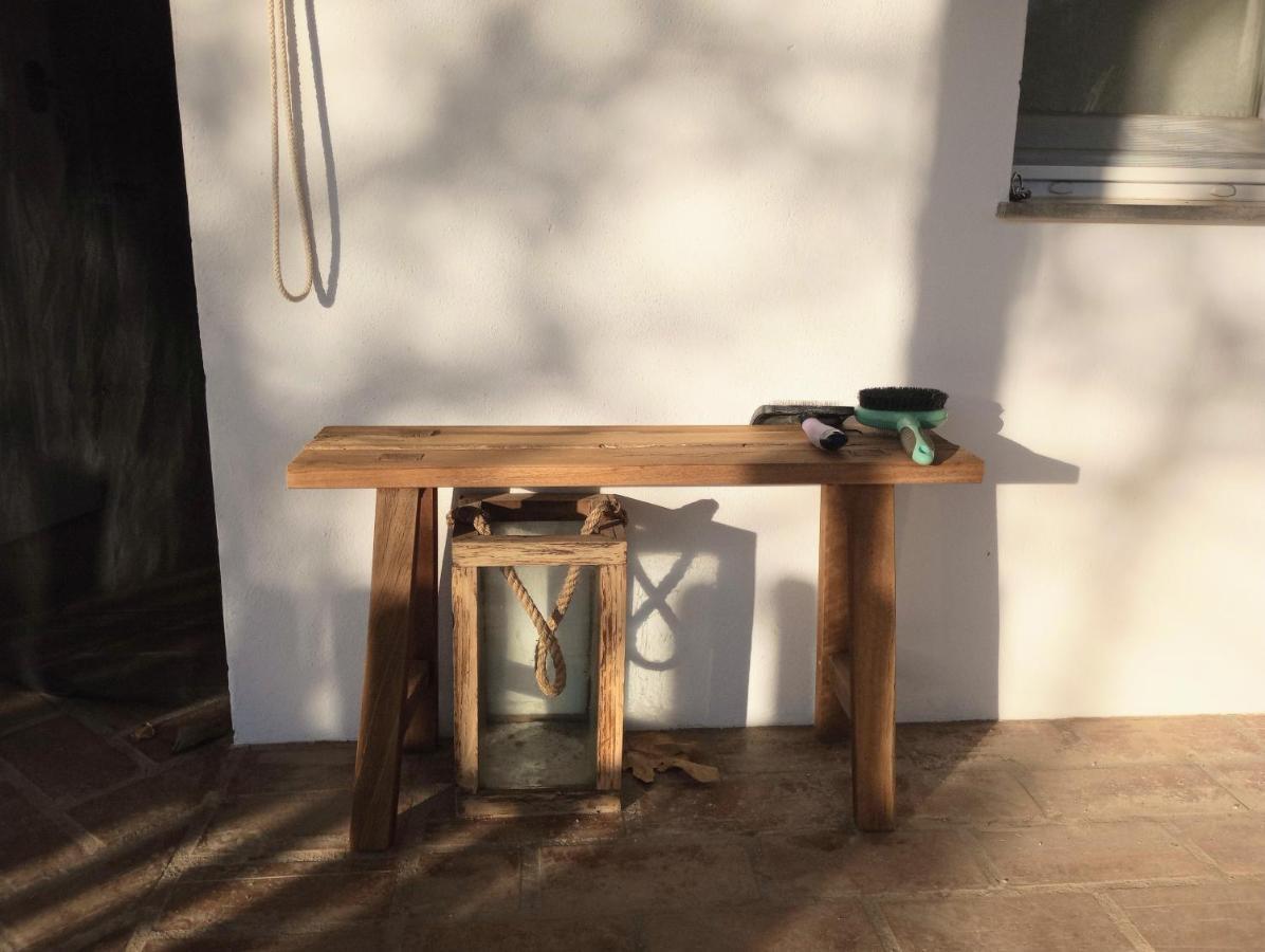 Casa De Campo Los Manueles Ideal Perros Pet Friendly Gojar Екстер'єр фото