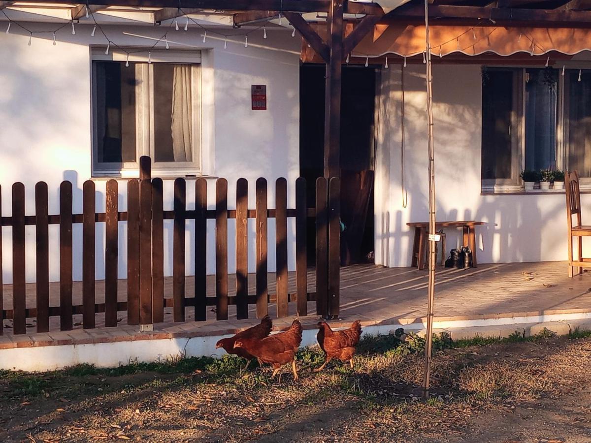 Casa De Campo Los Manueles Ideal Perros Pet Friendly Gojar Екстер'єр фото