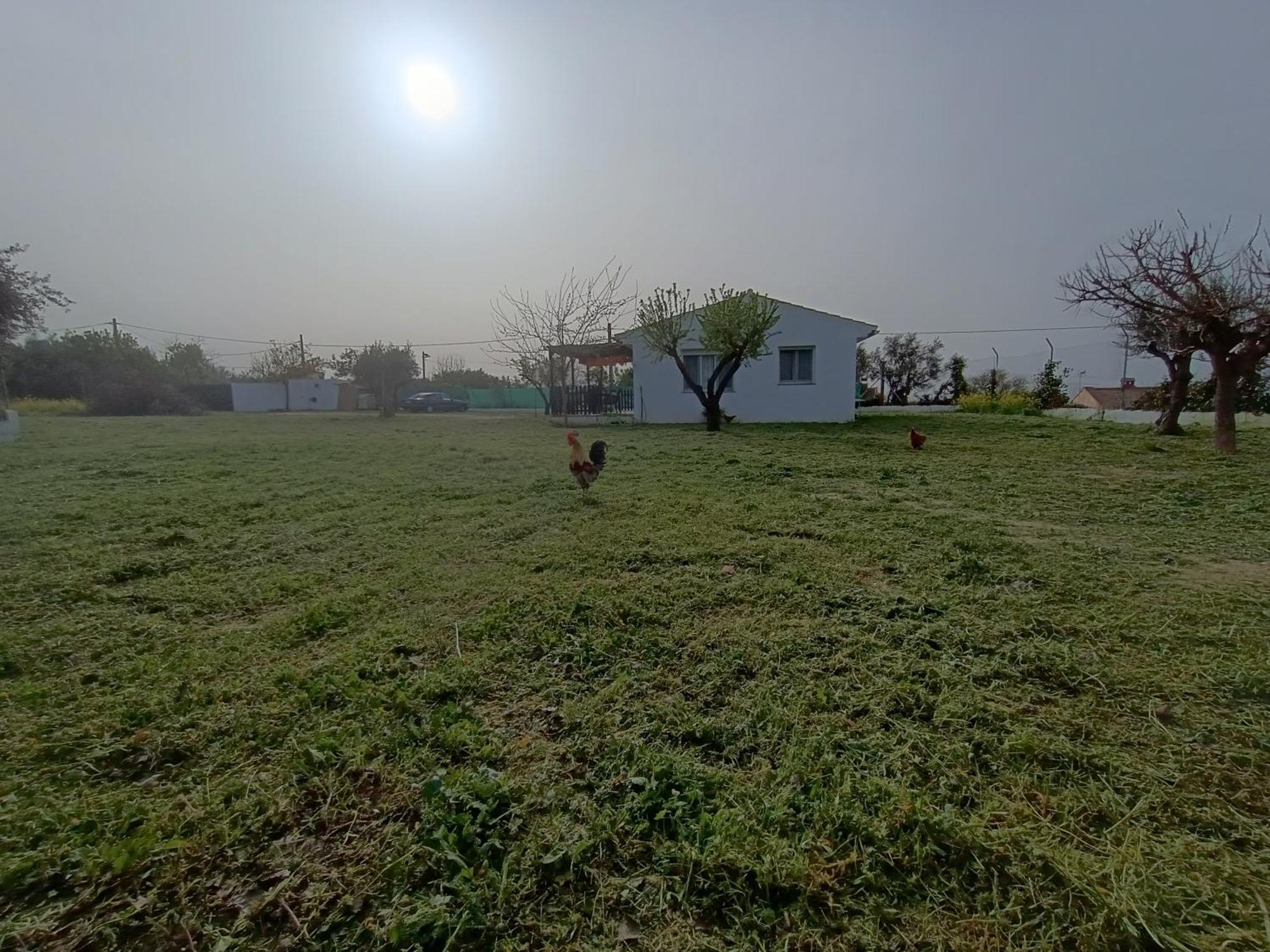 Casa De Campo Los Manueles Ideal Perros Pet Friendly Gojar Екстер'єр фото
