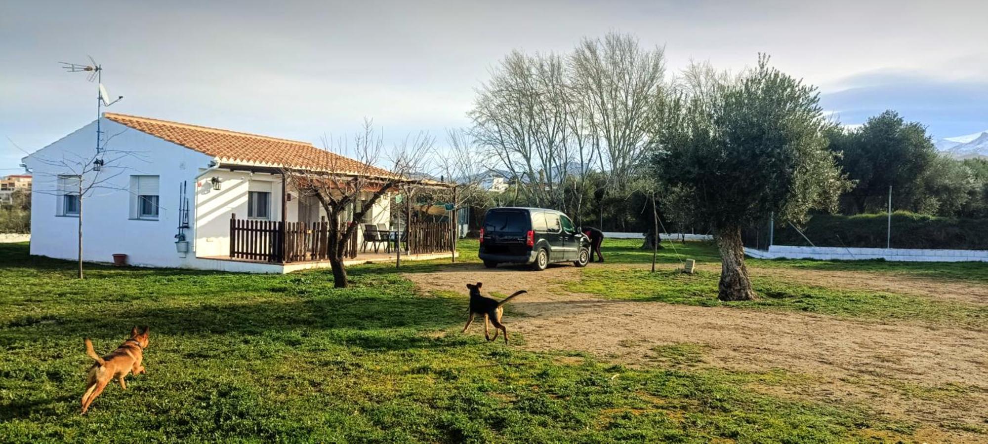 Casa De Campo Los Manueles Ideal Perros Pet Friendly Gojar Екстер'єр фото